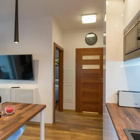 Cozy With Garden Prestigious Location Krakov